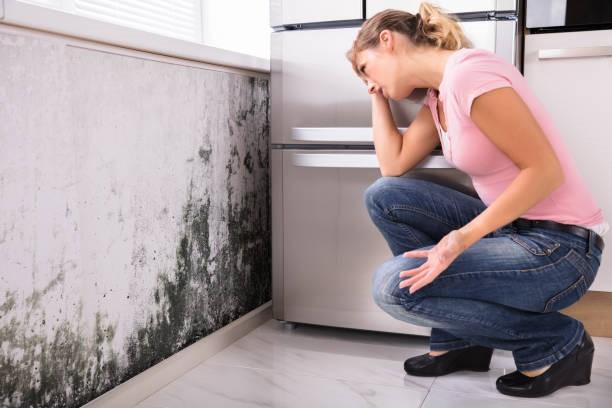 Femme devant moisissures - problème de condensation dans les logements