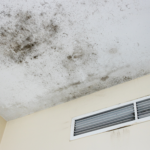 Prevent mold from the design or renovation stage