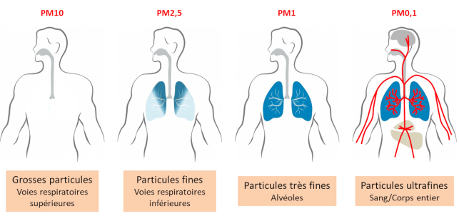 pollution paris