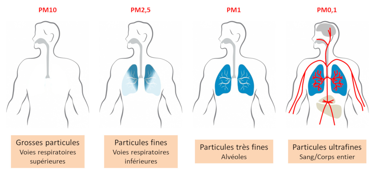 l'impact des particules fines sur la santé